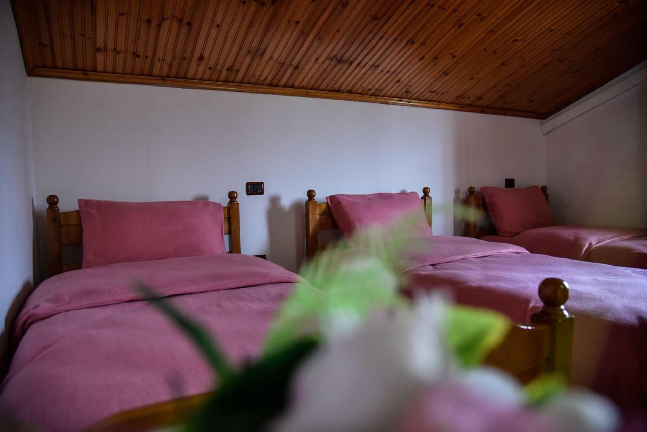 Villa Garden Shkodra Extérieur photo