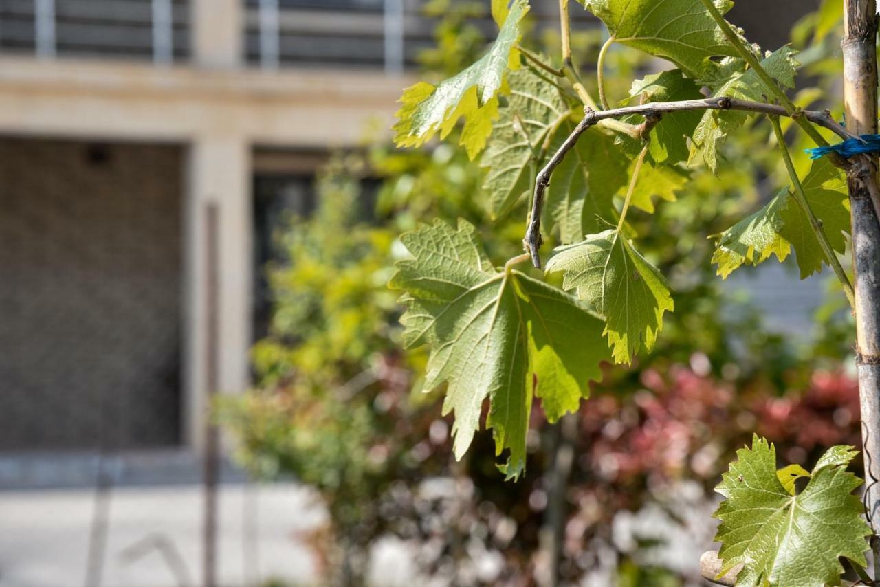 Villa Garden Shkodra Extérieur photo